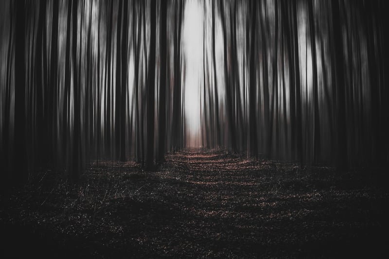 Forest Accessories