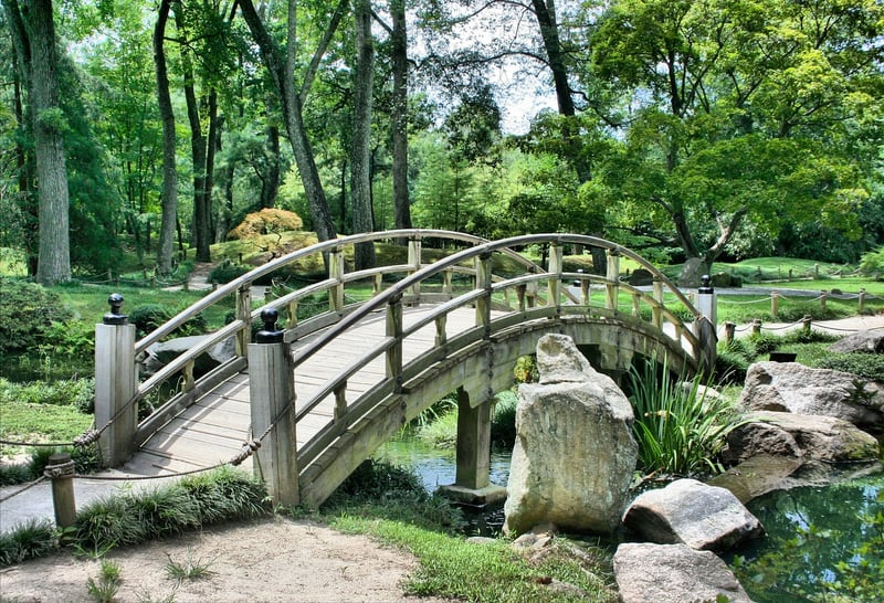 Whimsical Pathways