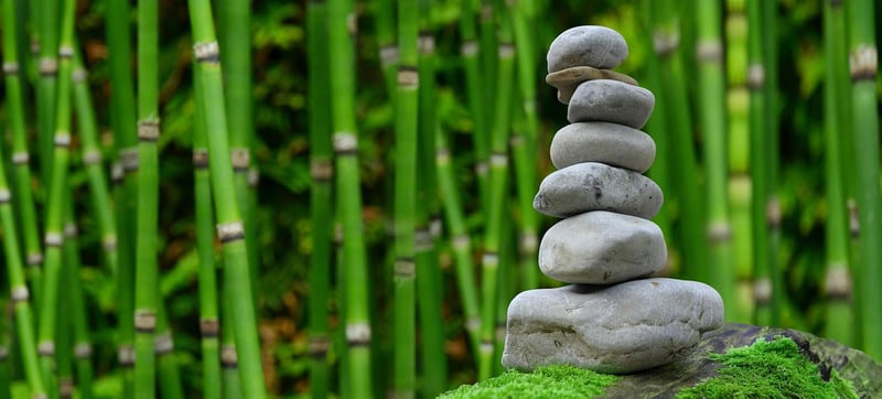 Zen Garden Serenity